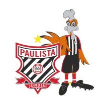 圣保罗市青年队队徽