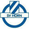 SV霍恩队标