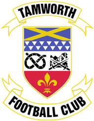 塔姆沃思队标