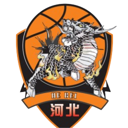 石家庄翔蓝队标